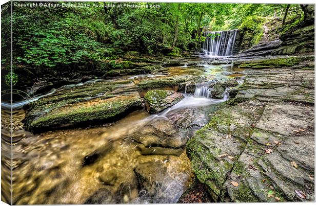 Nant Mill Waterfall Wrexham  Canvas Print by Adrian Evans