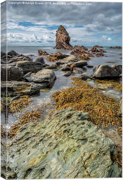 Gwenfaens Rock Anglesey Canvas Print by Adrian Evans