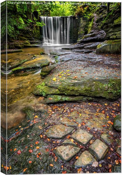 Woodland Waterfall Canvas Print by Adrian Evans