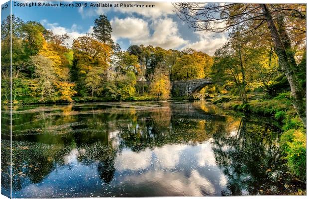 Autumn Bridge Canvas Print by Adrian Evans