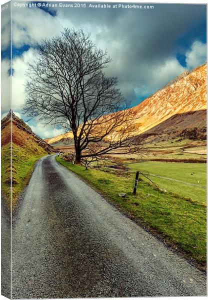 Long Road Home Canvas Print by Adrian Evans