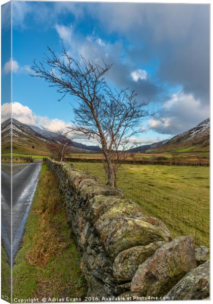 Road Less Travelled Canvas Print by Adrian Evans