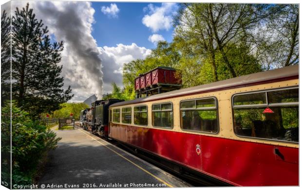 Steam Loco Waunfawr Station Wales Canvas Print by Adrian Evans