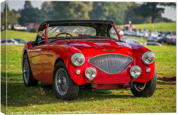 Austin Healey 100 Canvas Print by Adrian Evans