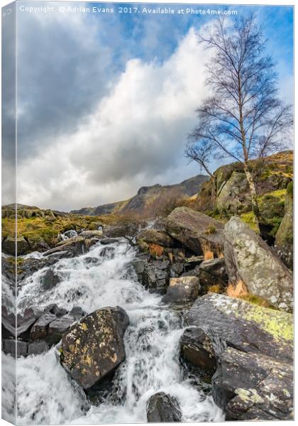 Winter Rapids of Snowdonia Canvas Print by Adrian Evans