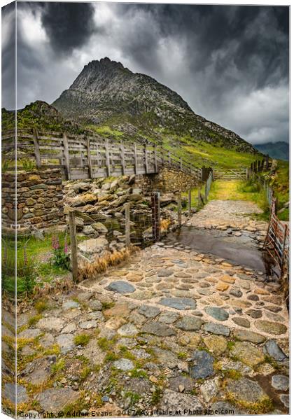 To Tryfan Mountain Snowdonia Canvas Print by Adrian Evans