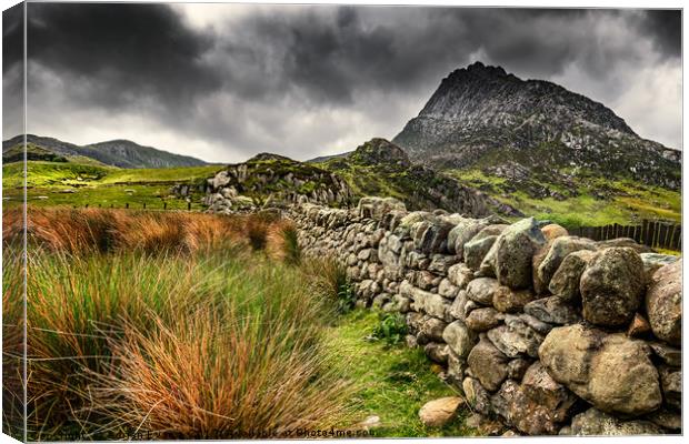Tryfan Mountain East Face Wales Canvas Print by Adrian Evans