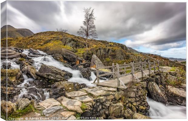 Foot Bridge Rapids Snowdonia Canvas Print by Adrian Evans