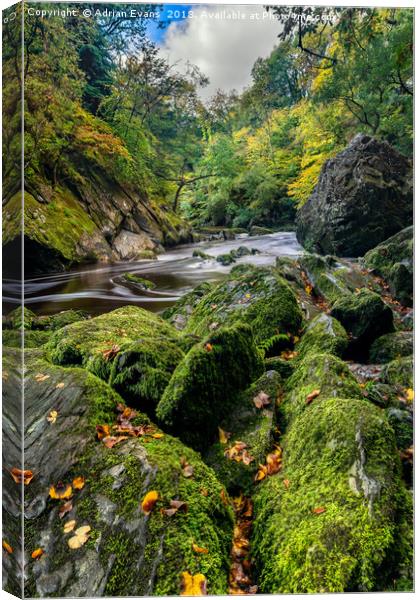 Fairy Glen Snowdonia Canvas Print by Adrian Evans