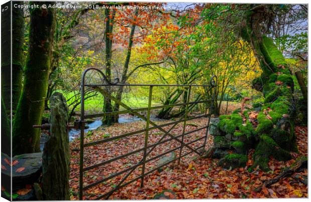 Gate to Autumn Canvas Print by Adrian Evans