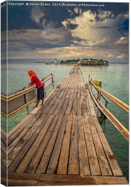 Nalusuan Island Philippines Canvas Print by Adrian Evans
