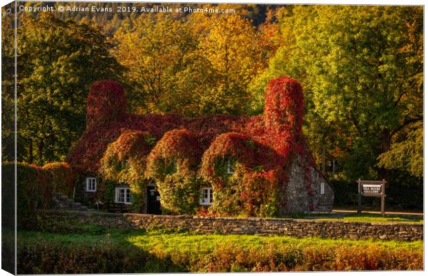 Llanrwst Tea Room Autumn Canvas Print by Adrian Evans