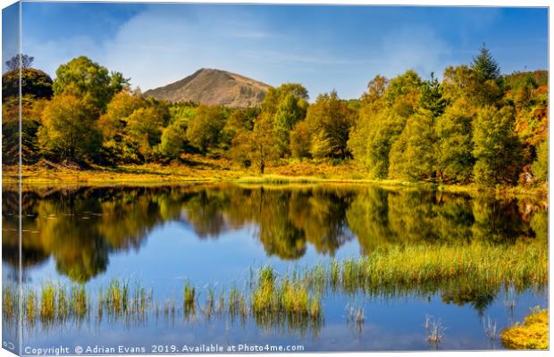 Forest Lake Snowdonia Wales Canvas Print by Adrian Evans