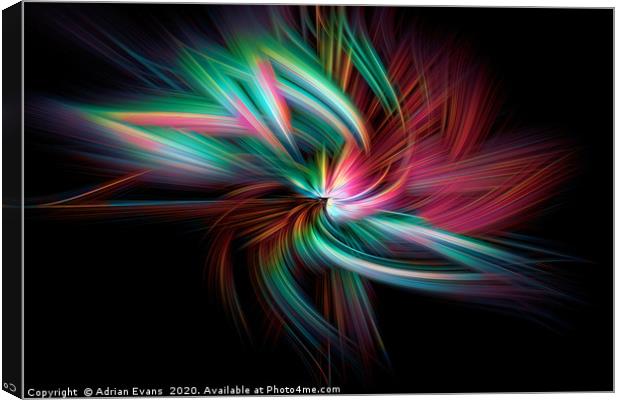 The Twirl Canvas Print by Adrian Evans