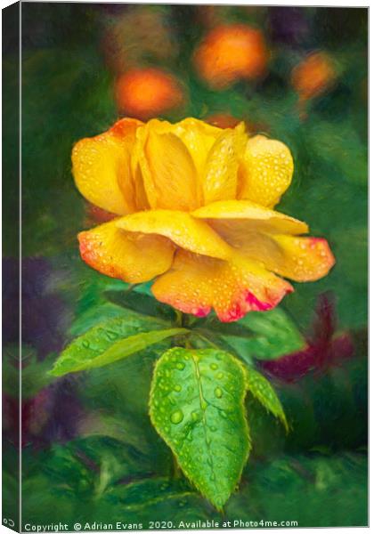 Yellow Rose Art Canvas Print by Adrian Evans
