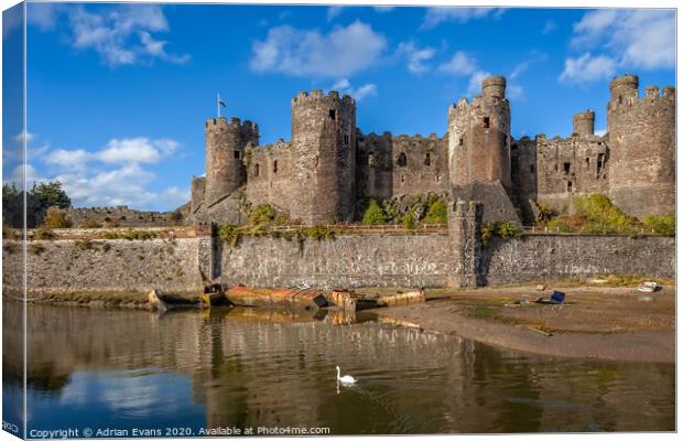 Conwy Castle Swan Wales  Canvas Print by Adrian Evans