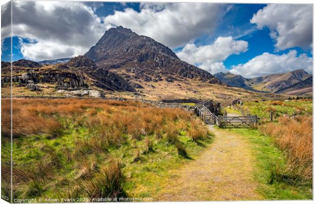 Tryfan and the Ogwen Valley Wales Canvas Print by Adrian Evans