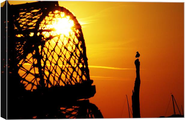Looking for lobsters at sunset! Canvas Print by Gary Pearson