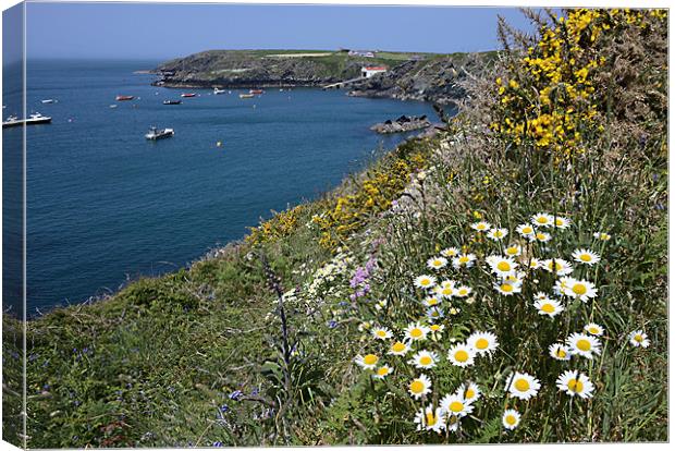 St Justinian Lifeboat Station Pembrokeshire Canvas Print by Gary Pearson