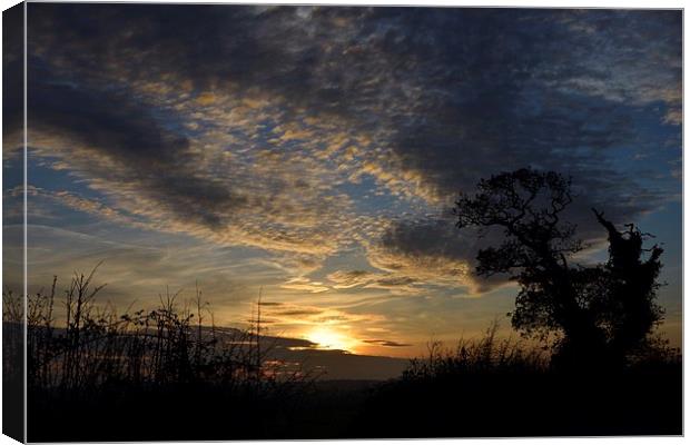 Sunset over rural Norfolk Canvas Print by Gary Pearson