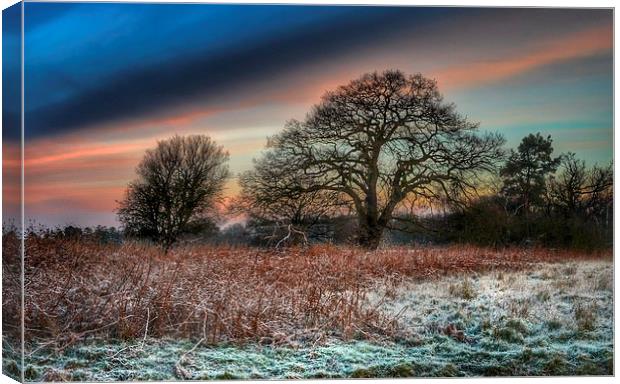 A frosty morning in Norfolk Canvas Print by Gary Pearson