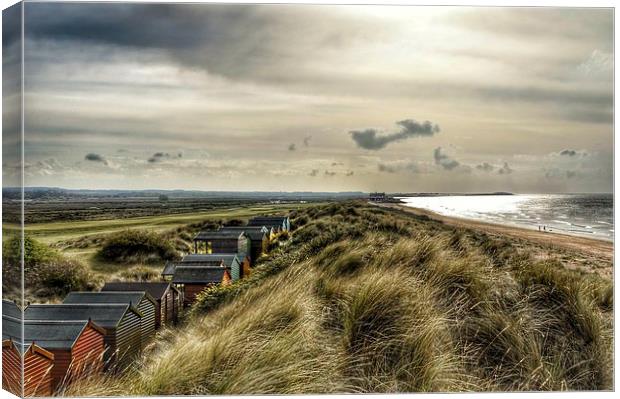 Beach huts in the dunes Canvas Print by Gary Pearson
