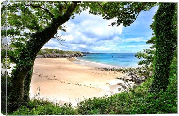 Barafundle bay Pembrokeshire Canvas Print by Gary Pearson