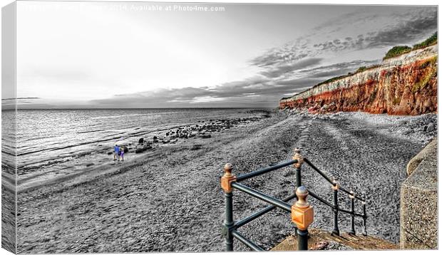  Looking out to sea  Canvas Print by Gary Pearson