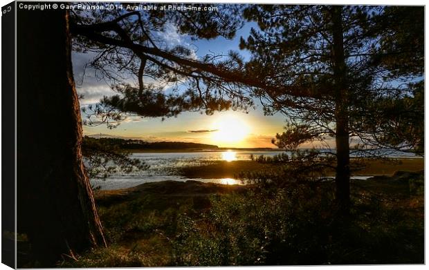  Holkham bay  Canvas Print by Gary Pearson