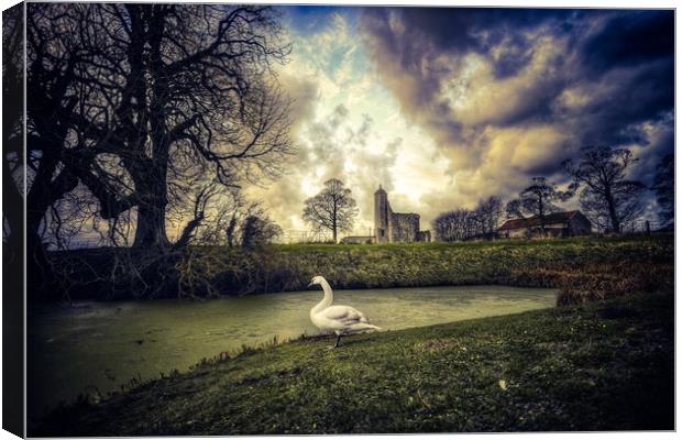 The swan and castle Canvas Print by Gary Pearson