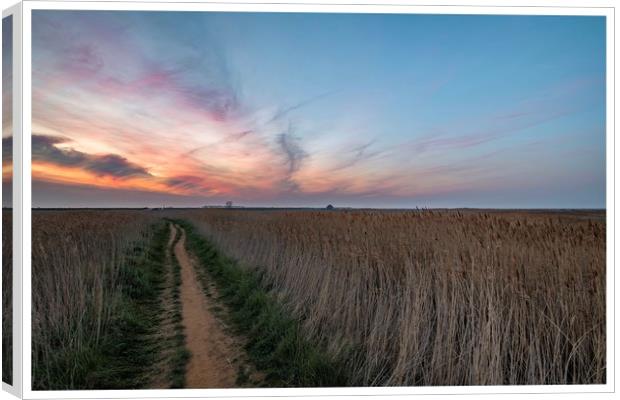 Lingering colours of sunset at Thornham Canvas Print by Gary Pearson