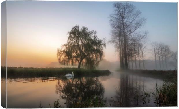 Early morning mist on the commute to Bintree mill  Canvas Print by Gary Pearson