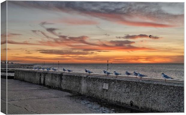 Seagulls at sunset Canvas Print by Gary Pearson