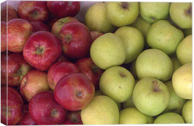 apples Canvas Print by Fiona Snedden