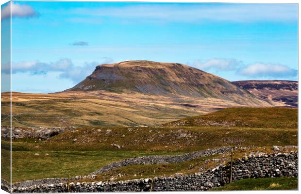 Conquering Penyghent Canvas Print by Trevor Camp