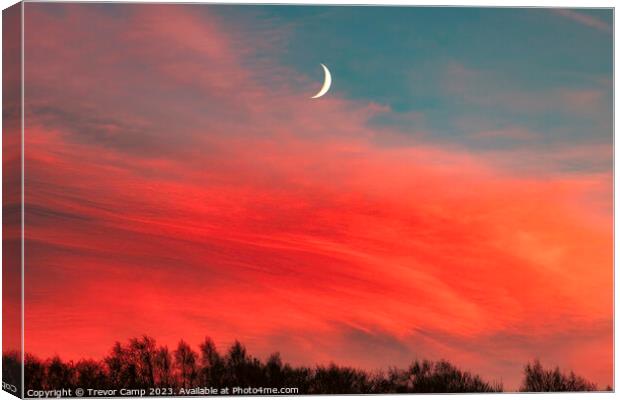 Moonlit Sunset Canvas Print by Trevor Camp
