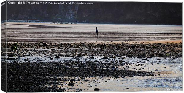 The Beachcomber Canvas Print by Trevor Camp