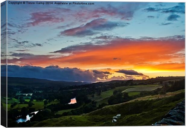 Teesdale Sunset Canvas Print by Trevor Camp