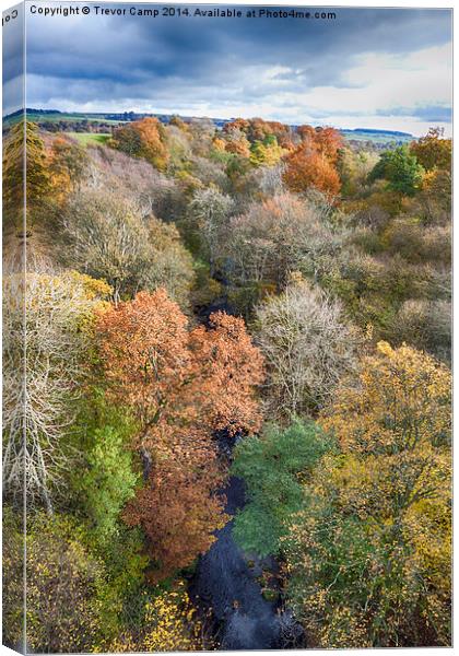  Autumn Canvas Print by Trevor Camp