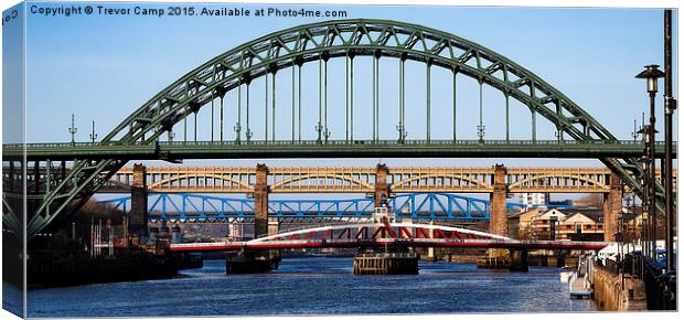 Six Bridges Across The Tyne Canvas Print by Trevor Camp
