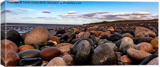 On The Rocks Canvas Print by Trevor Camp