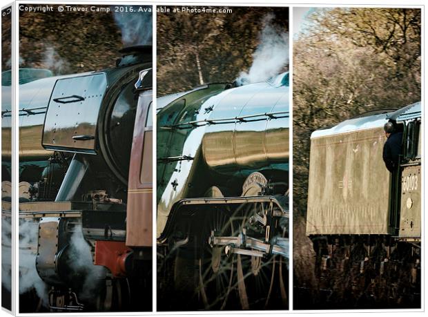 Flying Scotsman Triptych Canvas Print by Trevor Camp