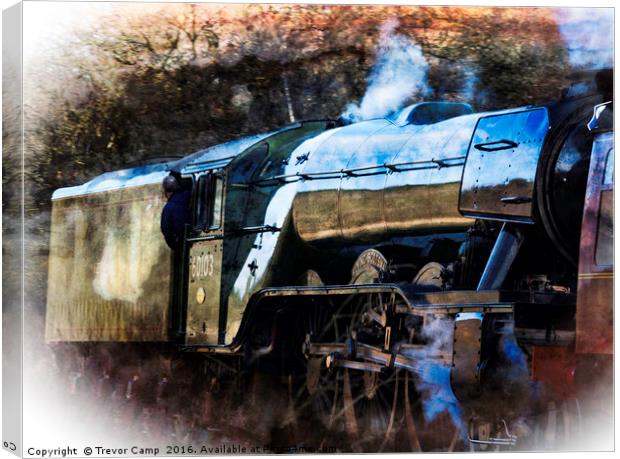 Flying Scotsman Canvas Print by Trevor Camp