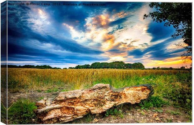 Rustic Harvest Glory Canvas Print by Trevor Camp