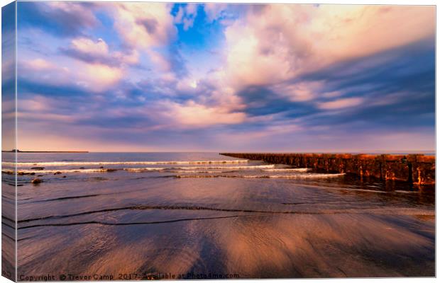 Seacoalers Beach Canvas Print by Trevor Camp