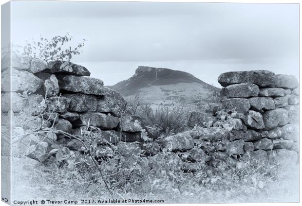 The Enigmatic Roseberry Topping Canvas Print by Trevor Camp