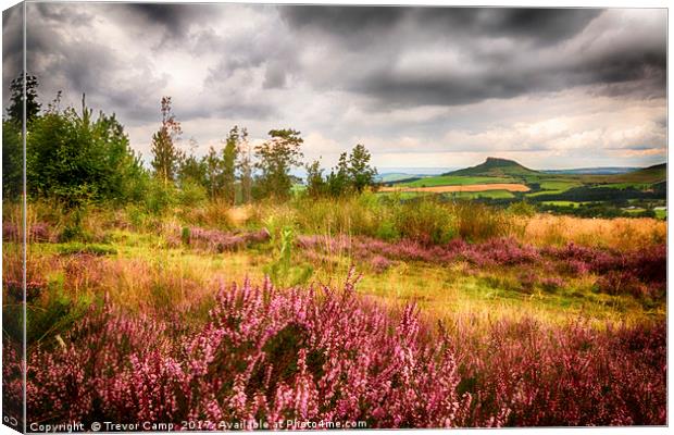 The Enchanting Roseberry Topping Canvas Print by Trevor Camp