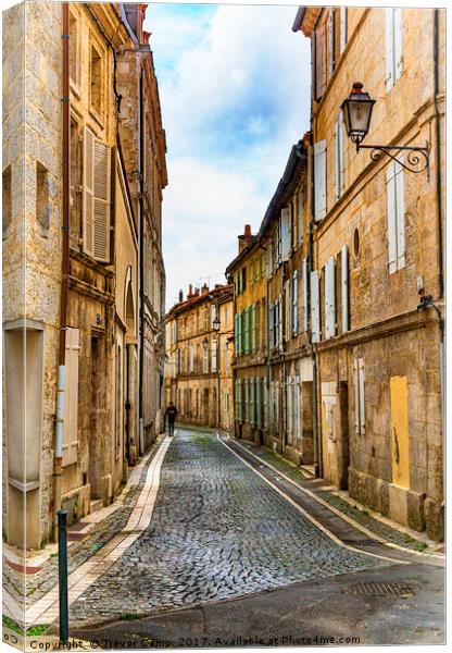 Une Rue Francaise Canvas Print by Trevor Camp