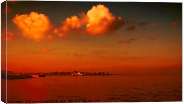 Headland Coppertone Canvas Print by Trevor Camp