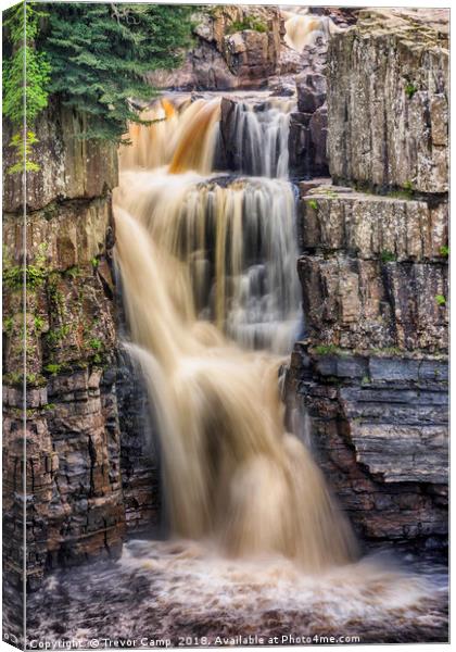 High Force, River Tees Canvas Print by Trevor Camp